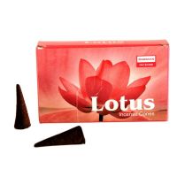 Darshan Lotus indické vonné františky 10 ks