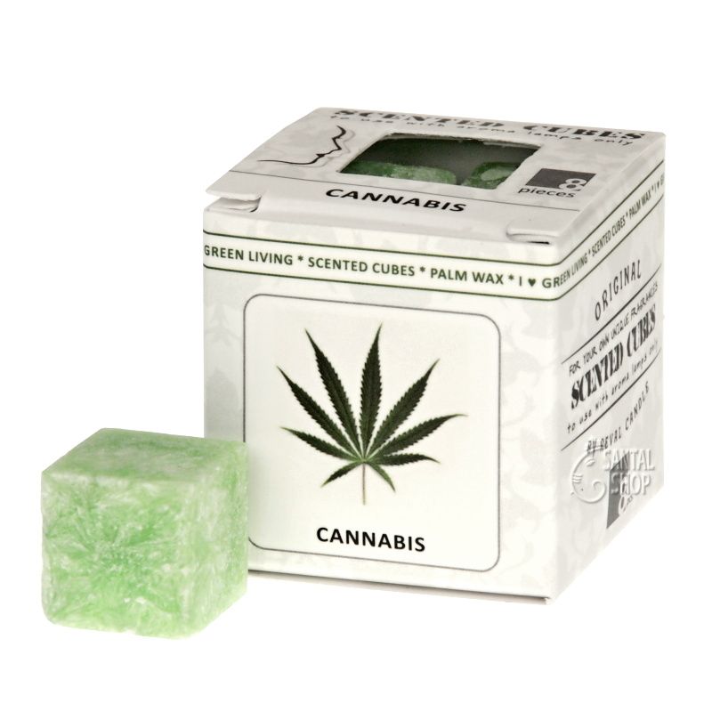 Vonný vosk do aromalampy Scented cubes Cannabis - konopí