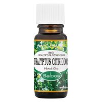Saloos esenciální olej Eukalyptus citriodora 10 ml