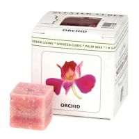 Vonný vosk do aromalampy Scented cubes Orchid - orchidej