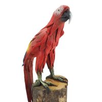 Soška Papoušek na větvi sawdust 35 cm červený