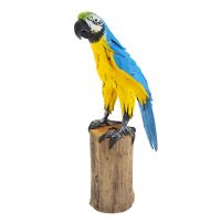 Soška Papoušek na větvi sawdust 35 cm modrý