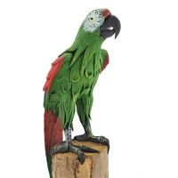 Soška Papoušek na větvi sawdust 35 cm zelený