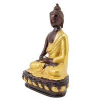 Soška Buddha kov 20 cm Amitabha barevný